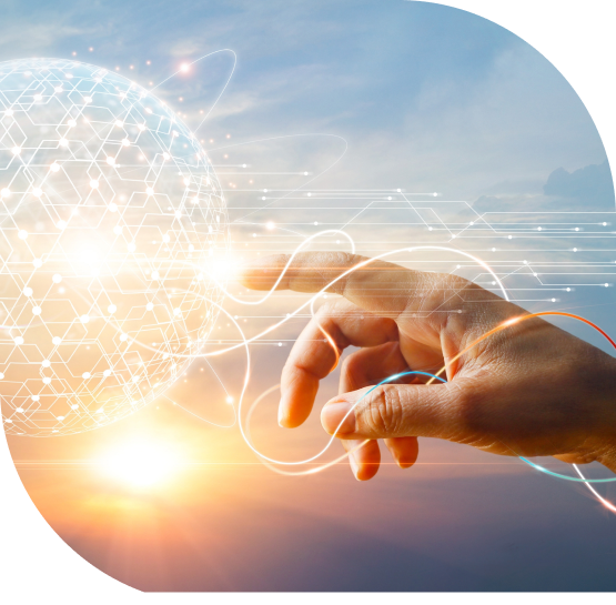 Navigating the options